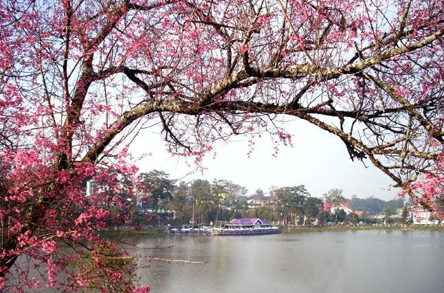 Ana Hotel Dalat Luaran gambar
